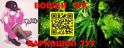 гашик Моздок