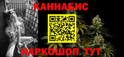 гашик Моздок