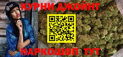 гашик Моздок