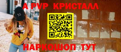 гашик Моздок