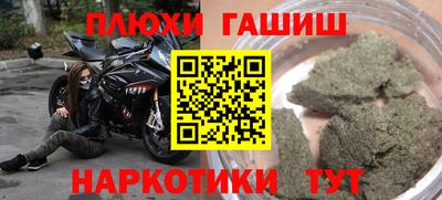 гашик Моздок