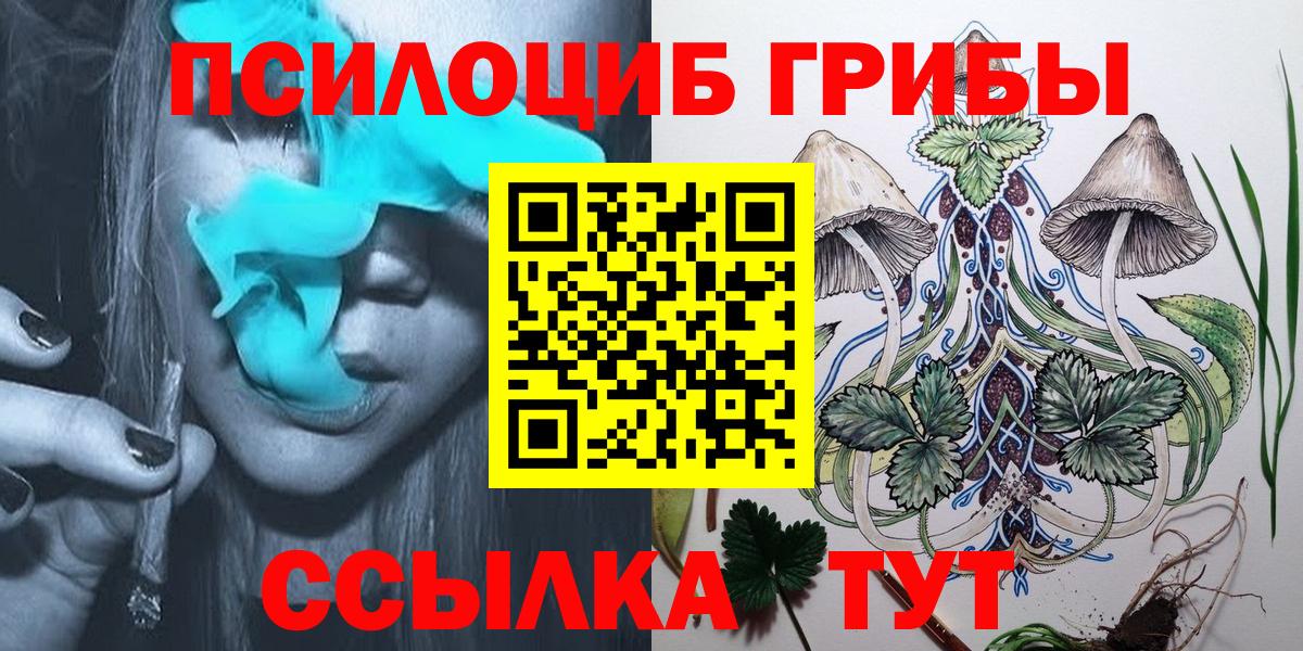 Гагарин  Псилоцибиновые грибы Psilocybine cubensis  Вход с VPN 